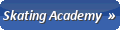 Skating Academy